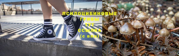 PSILOCYBIN Арсеньев