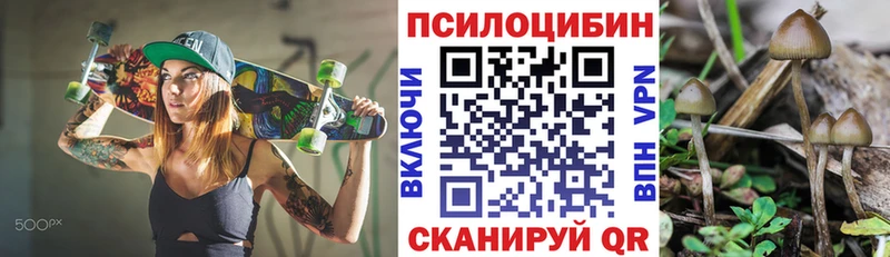 Псилоцибиновые грибы Cubensis  кракен ссылки  Шлиссельбург 
